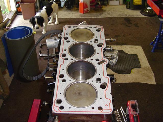 new head gasket prior to head fitting